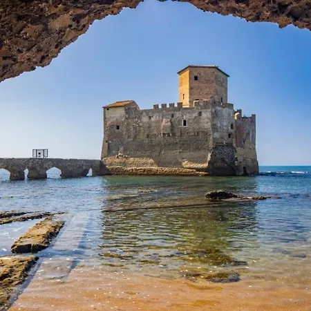 Lemon Tree 400 Mt Dal Mare *